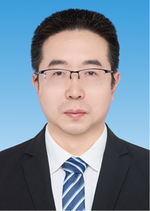 av在线看